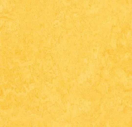 Marmoleum (Мармолеум) натуральный линолеум fresco 3251 (2,5 мм)