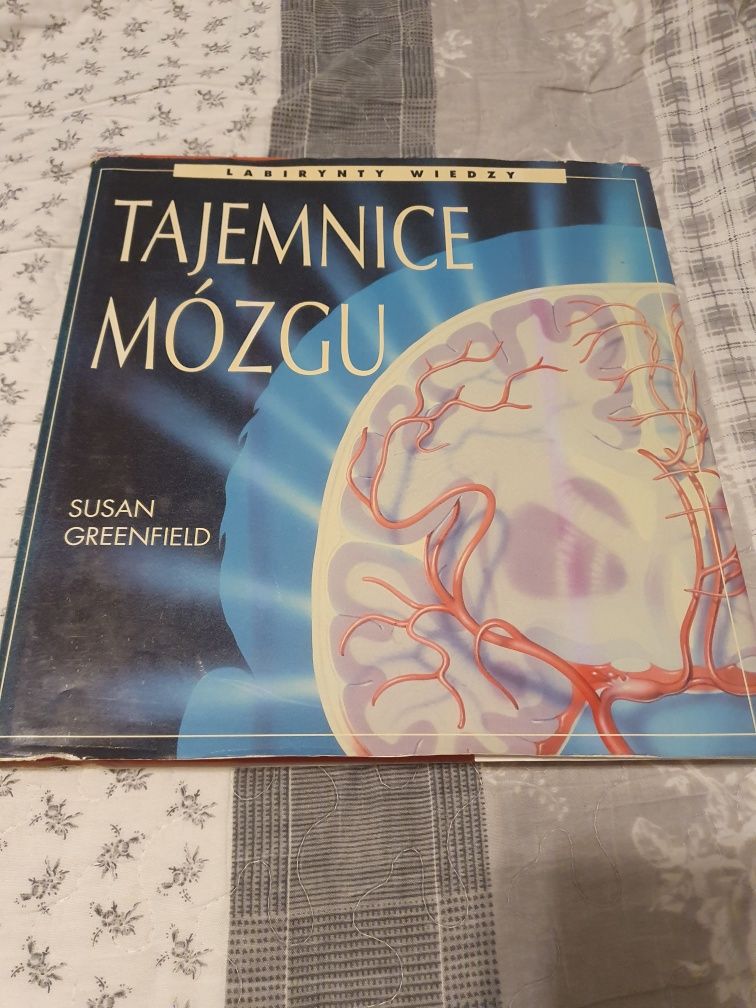 Tajemnice mózgu labirynt wiedzy Susan greenfield