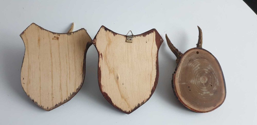 Starocie z Gdyni - Myślistwo - poroże koziołka zestaw 3szt.