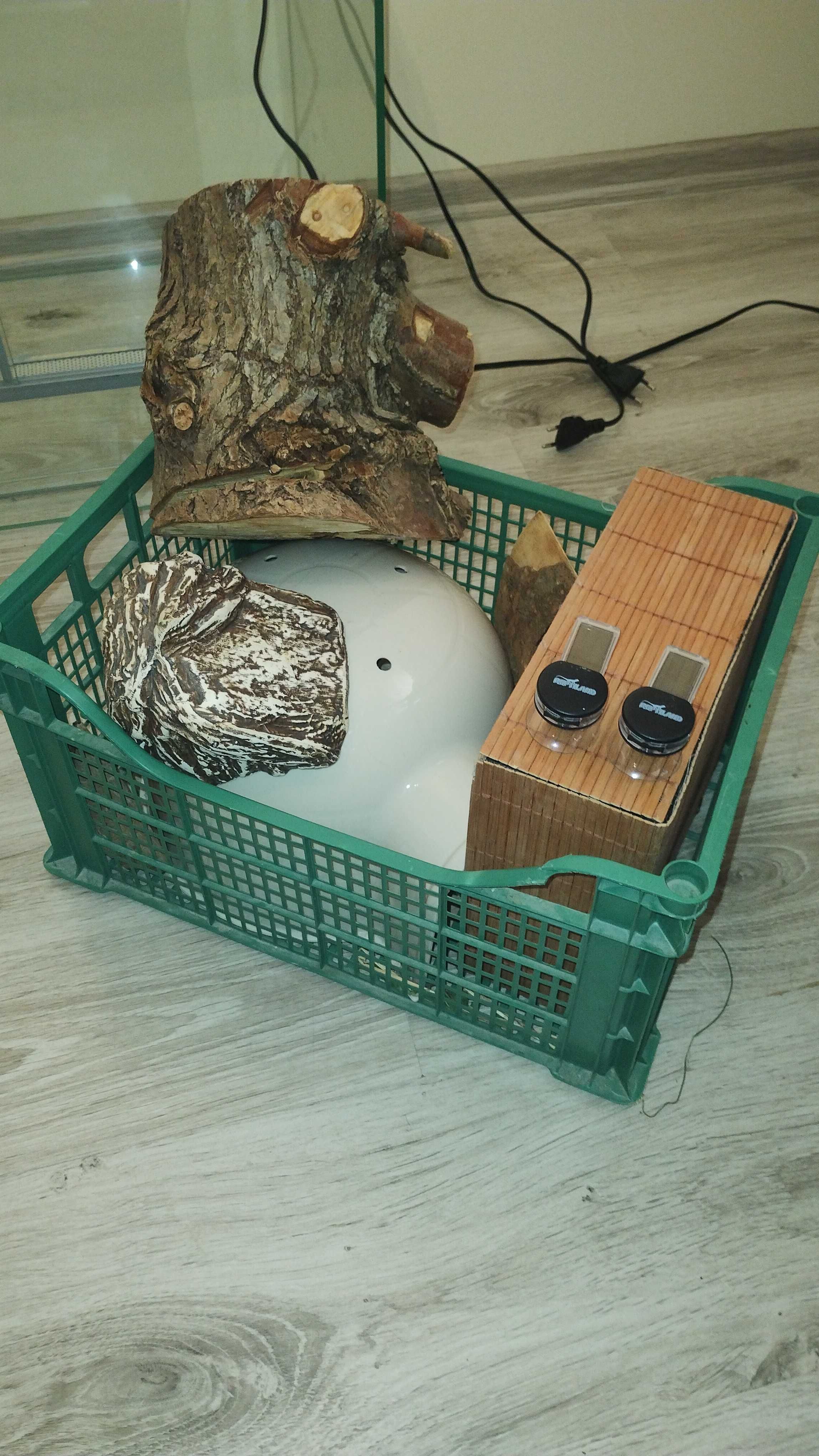 Terrarium z wyposażeniem