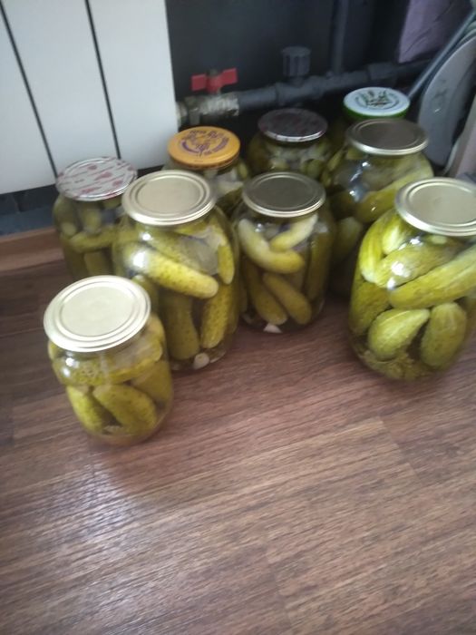 Продукти харчування