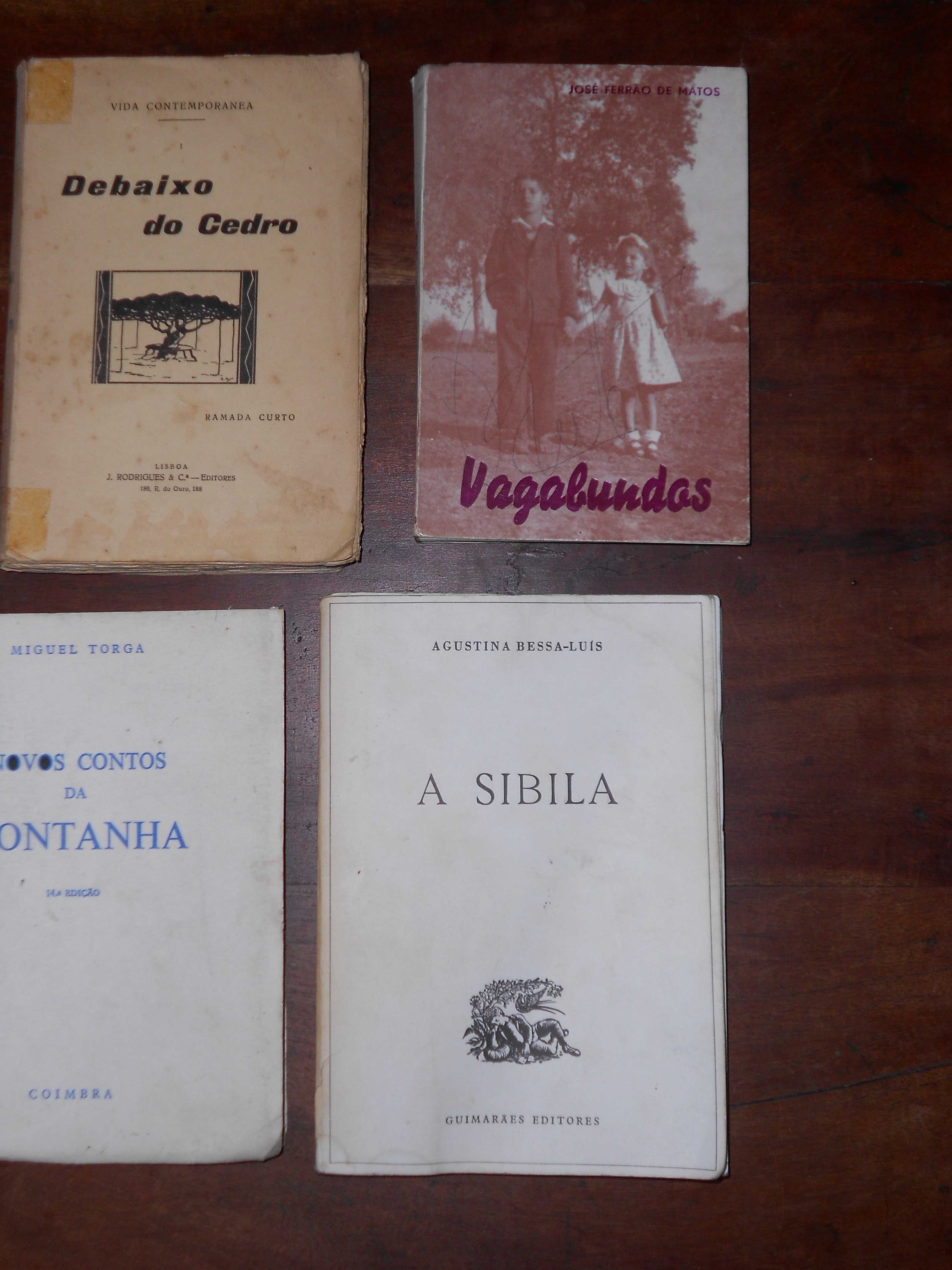 Livros Ferrao Matos, Maupassant, Torga, Bessa-Luis, Curto, Hemingway