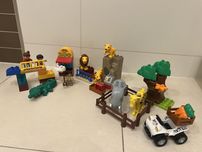 Duplo - karmienie w zoo