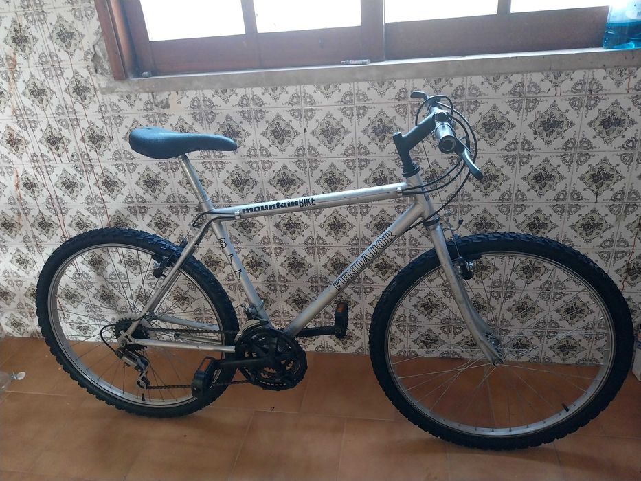 Bicicleta Adulto