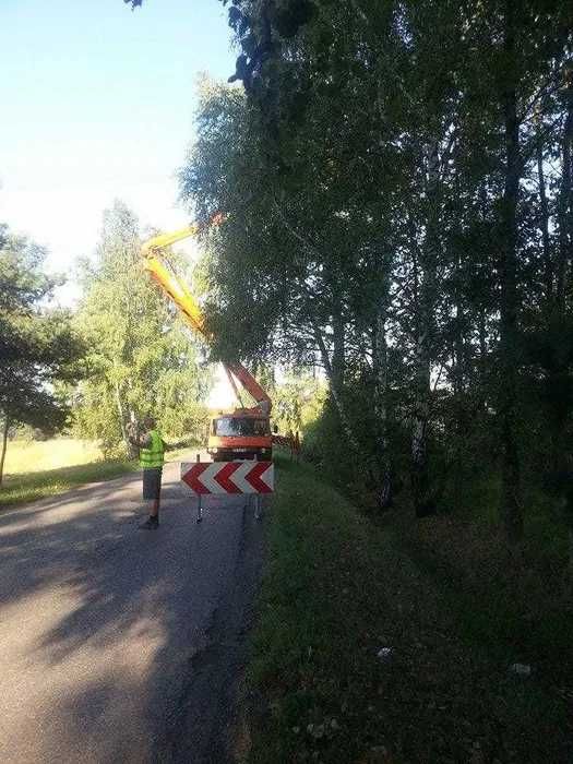 Wycinka drzew, wynajem zwyżki, przycinanie drzew, podnośniki koszowe