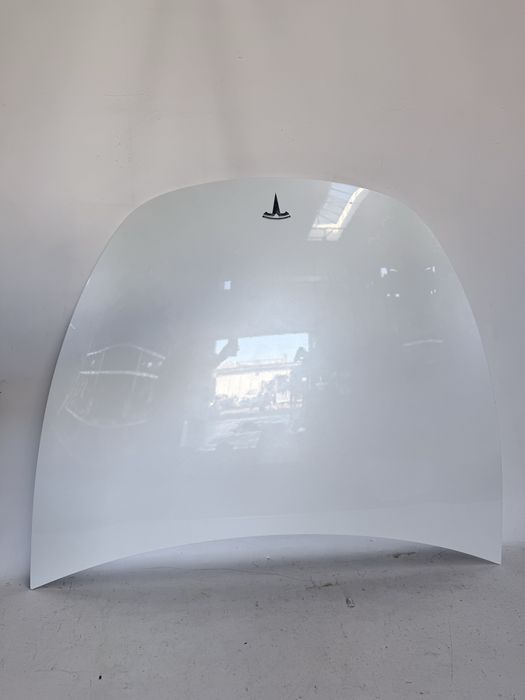 Капот Tesla Model Y PPSW