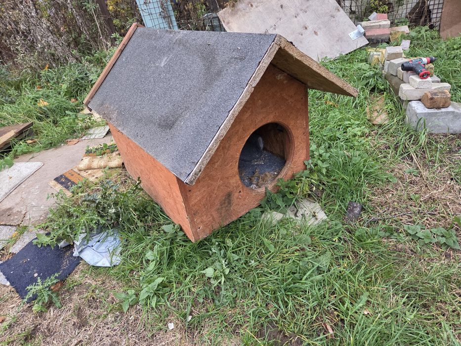 Buda dla psa na zime