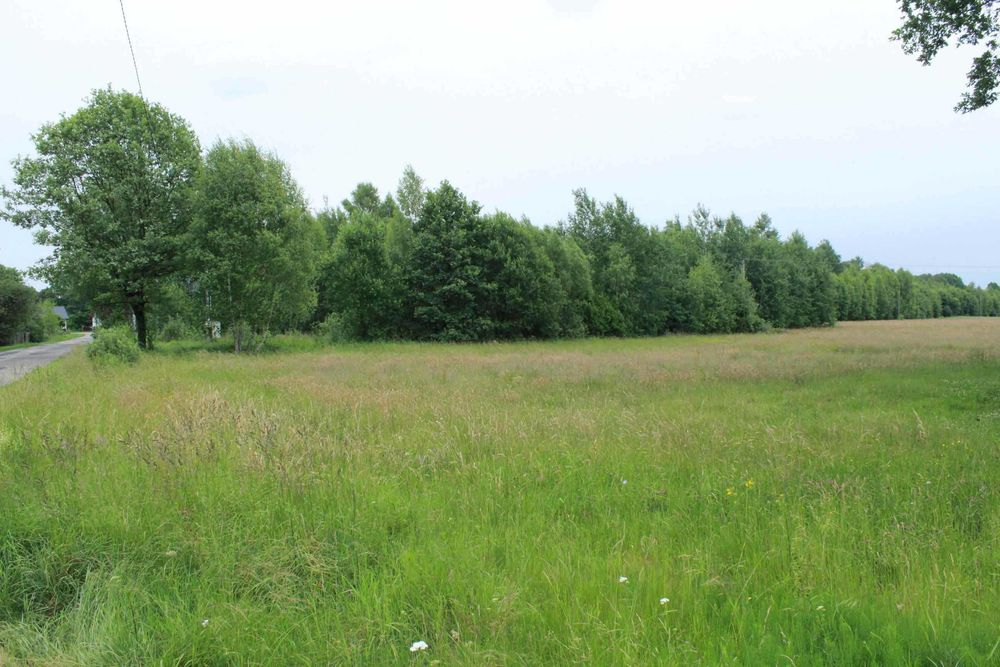 działka rolno budowlana, leśna przylegająca do rzeki o pow 22 200 m