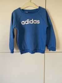 Bluza Adidas r.104