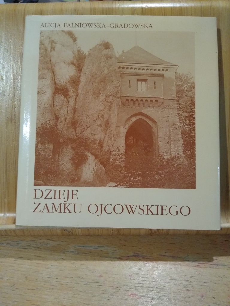 Dzieje zamku ojcowskiego Alicja Falniowska-Gradowska