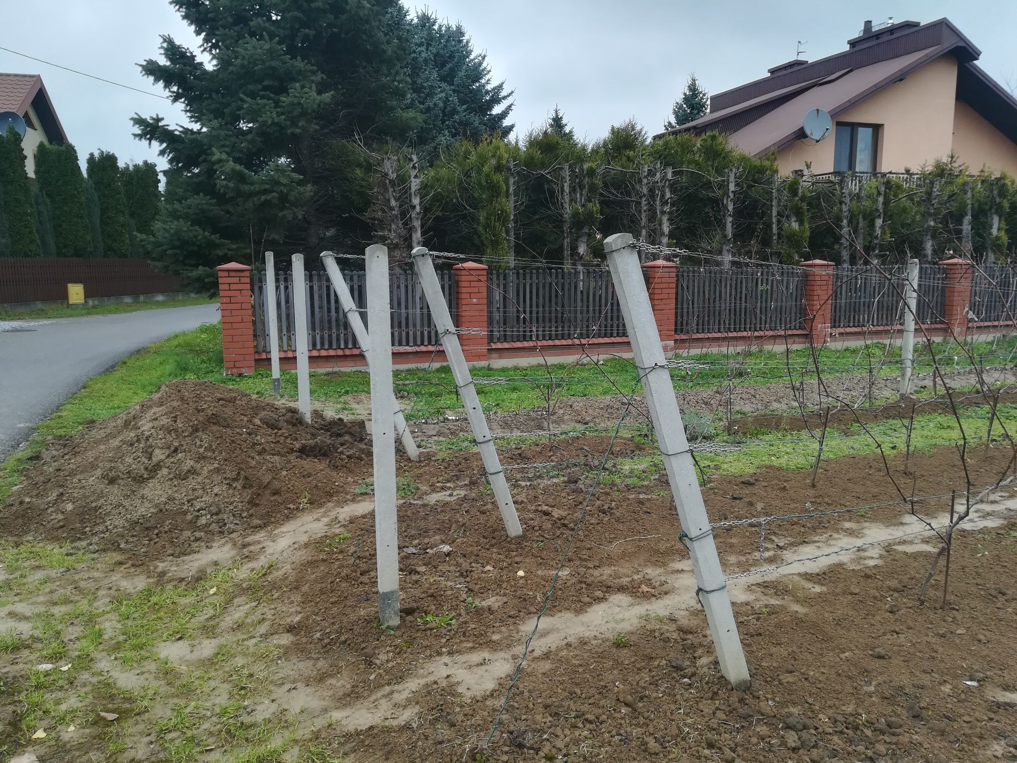 Słupki betonowe ogrodzeniowe słupek betonowy do siatki, winogron, mali