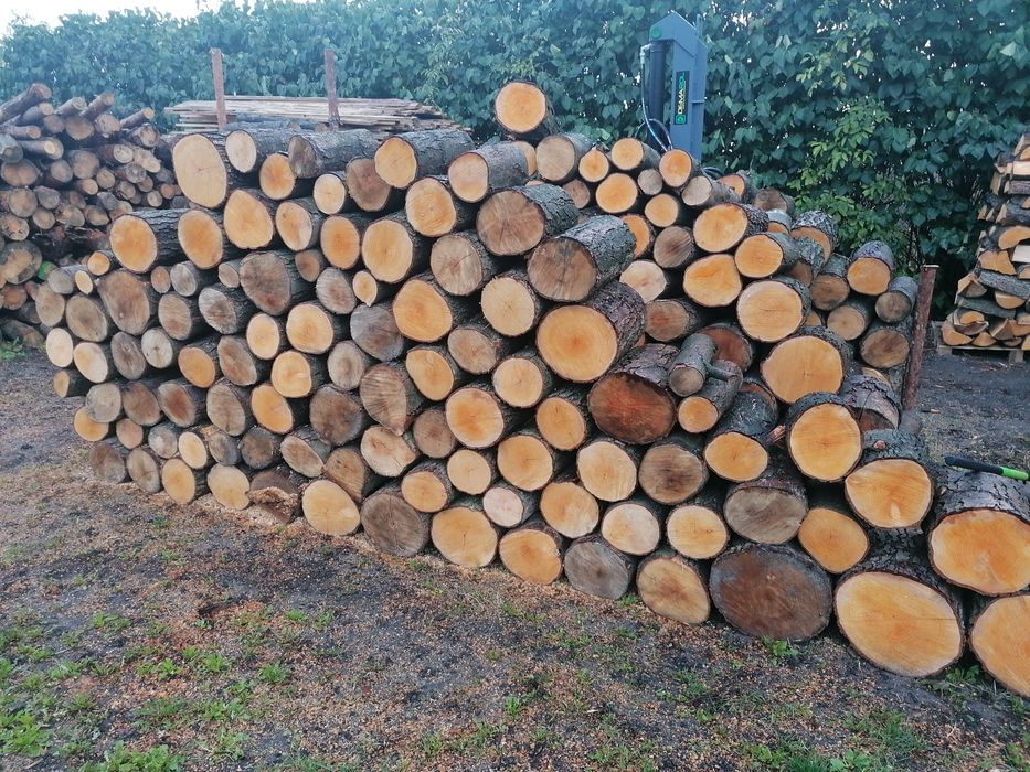 Kominkowe Dąb, Jesion, Brzoza itd