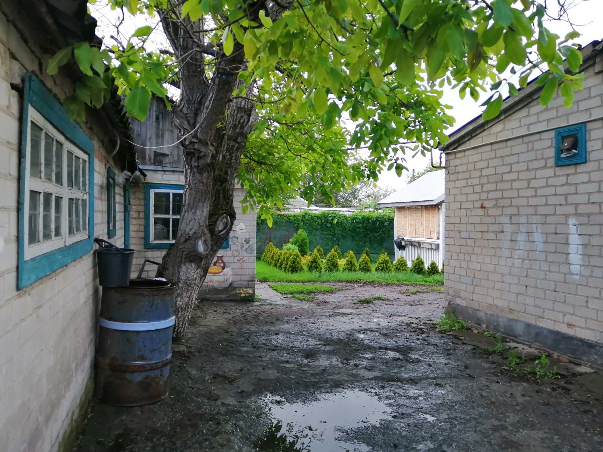 Дім на пагорбі з туями