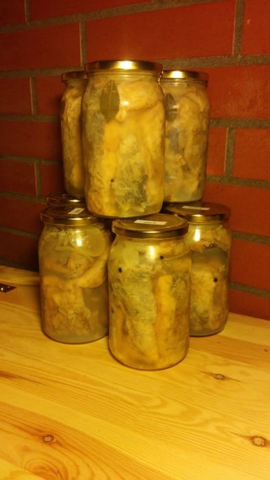 Karp żywy patroszony płat, amur, pstrąg, tołpyga, szczupak, jesiotr