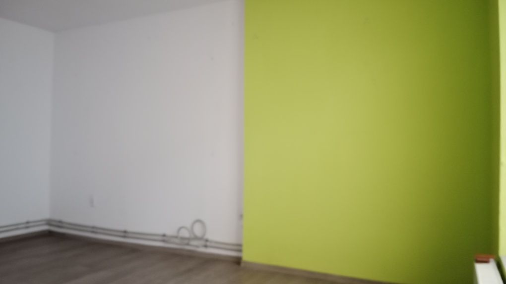 Lokal do wynajęcia