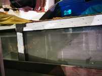 nowe okno plastikowe PCV PVC Antracyt witryna alu nieotwierane