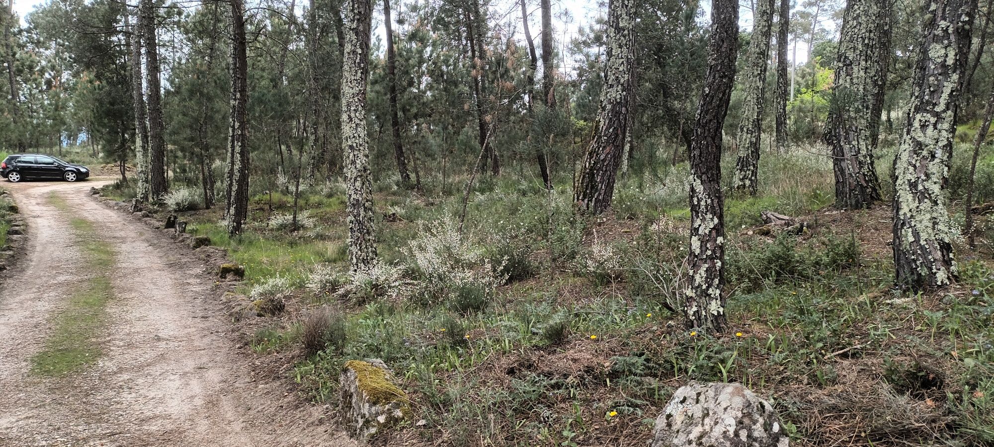 Terreno para venda
