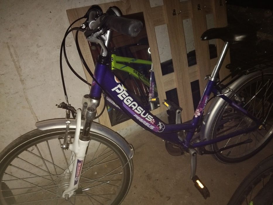 Rower pegasus Avanti, bagaznik
