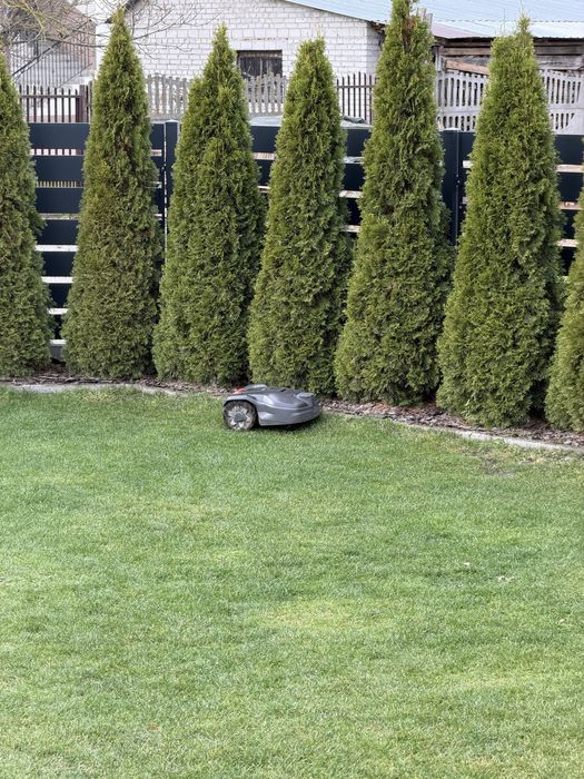 husqvarna automower 305