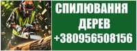 Видалення дерев, Розчиска участків під ключ Благоустрій