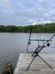 Род под Carp Pro Escol