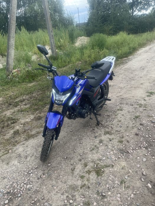 Musstang fortuna 150