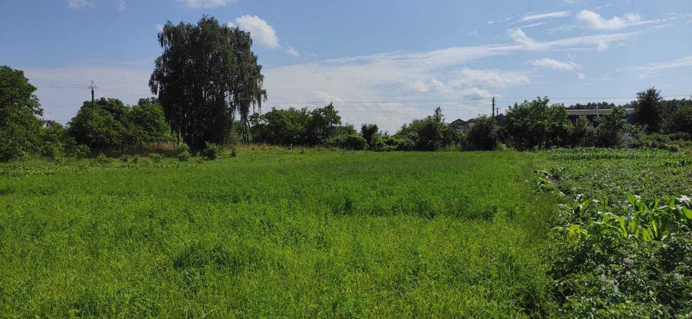 (3) Продам земельну ділянку в с. Сальник 0925