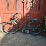 Motorower, motor, moped, osa, komar