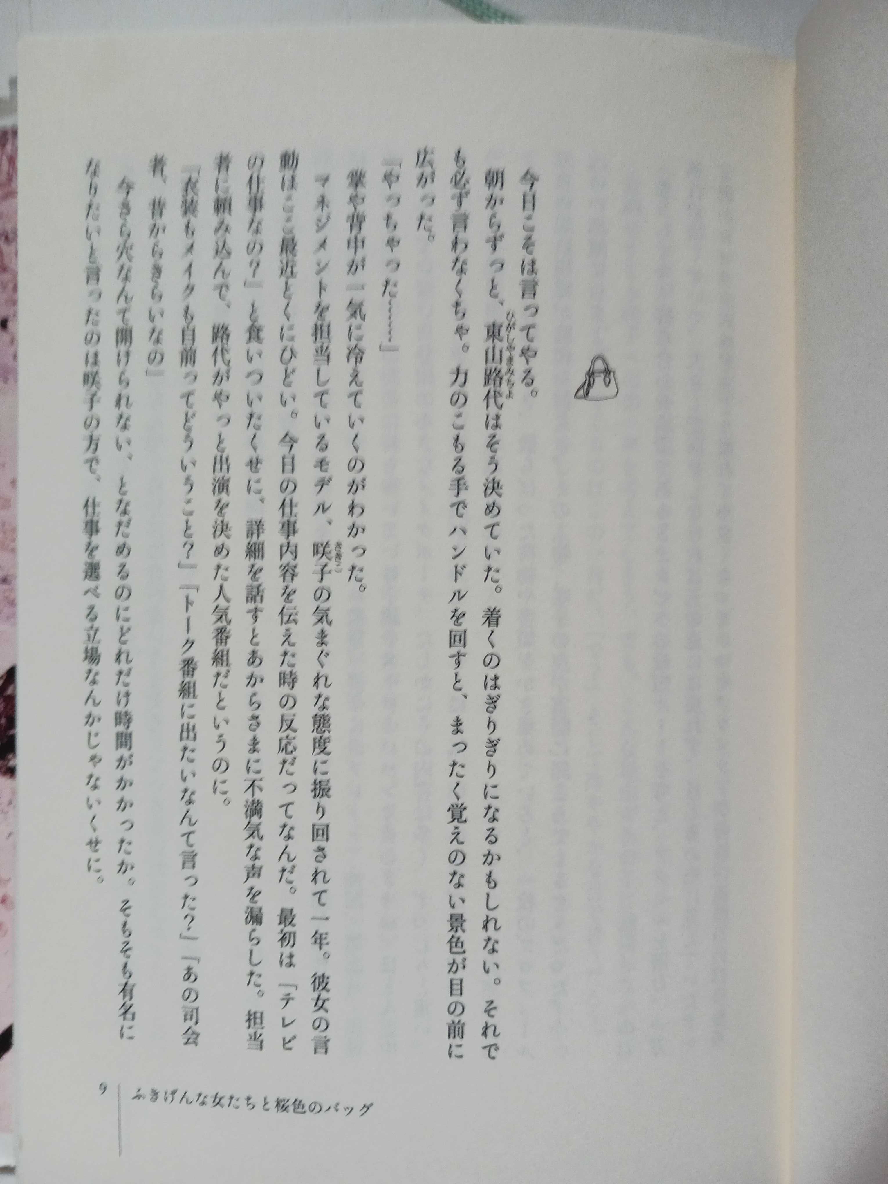 Książka po JAPOŃSKU 日本語 Oshikiri Moe