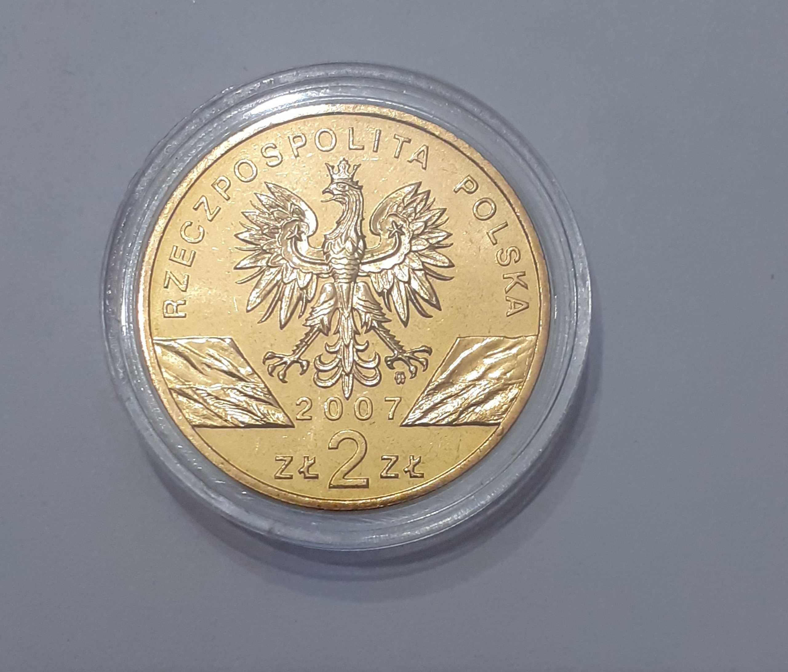 2 zł Foka Szara 2007
