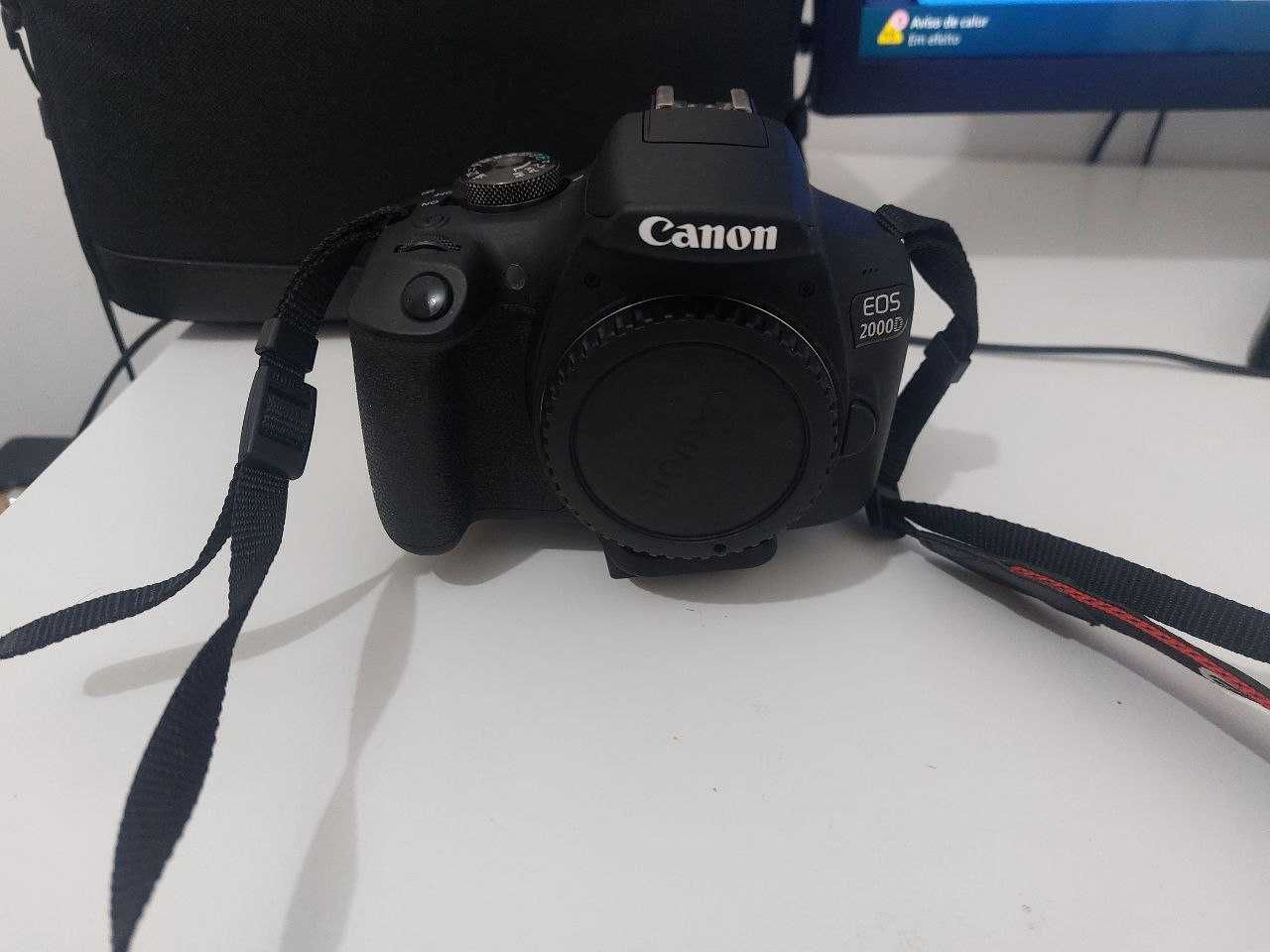Oportunidade Única para Fotógrafos Iniciantes e Entusiastas!