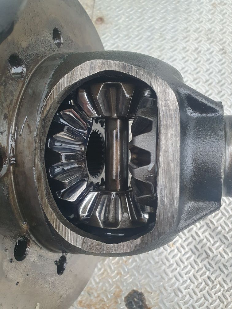 Pinha diferencial Range Rover P38