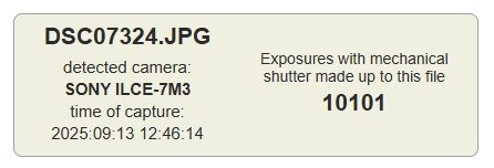 Sony a7 III + Sigma Art 35/1.4 DG DN