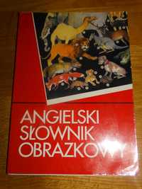 Angielski słownik obrazkowy M. Jankowski 1991