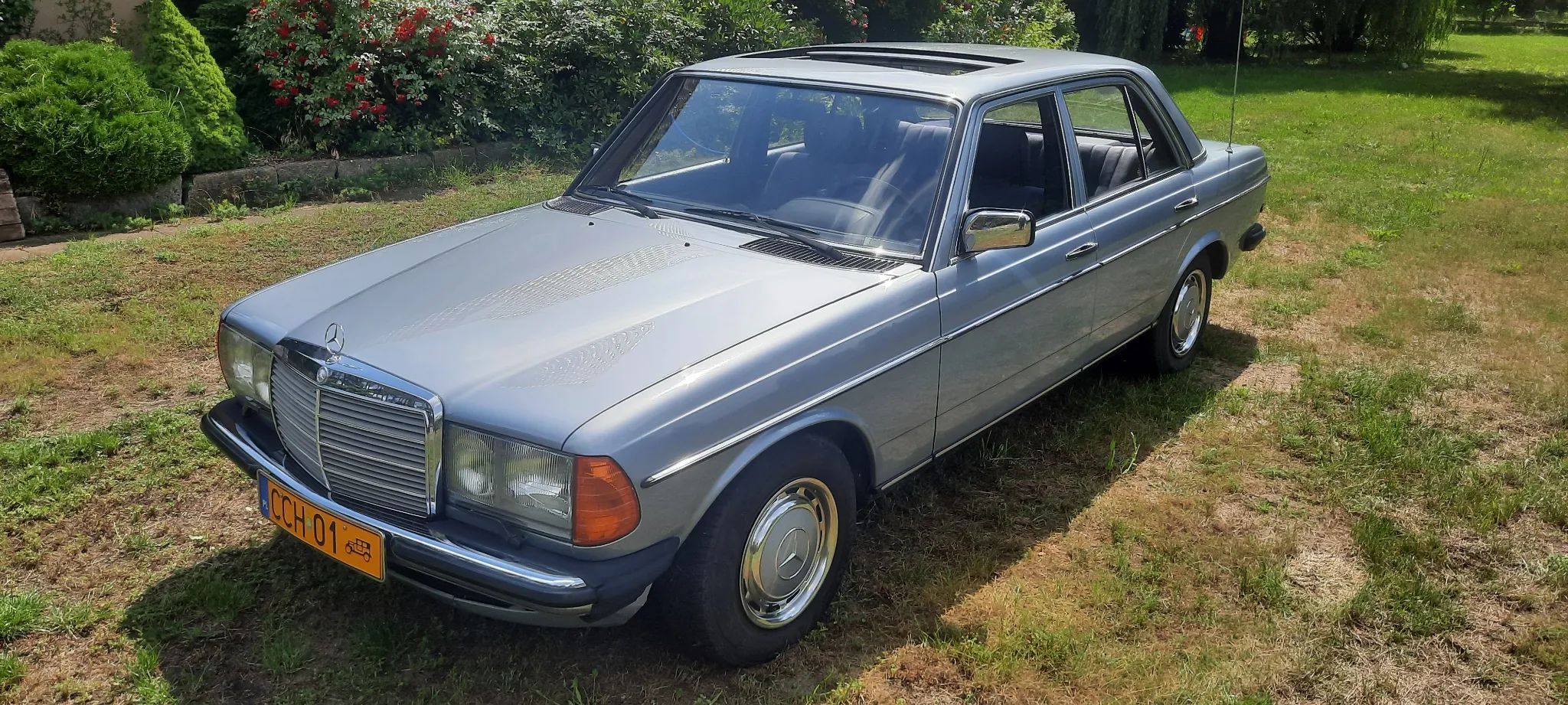 Mercedes-Benz W123 Mercedes-Benz Daimler-Benz W123 1981r oryginał 250 automat