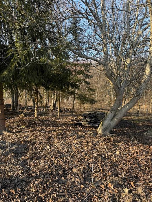 Продаж будинку біля Почаєва