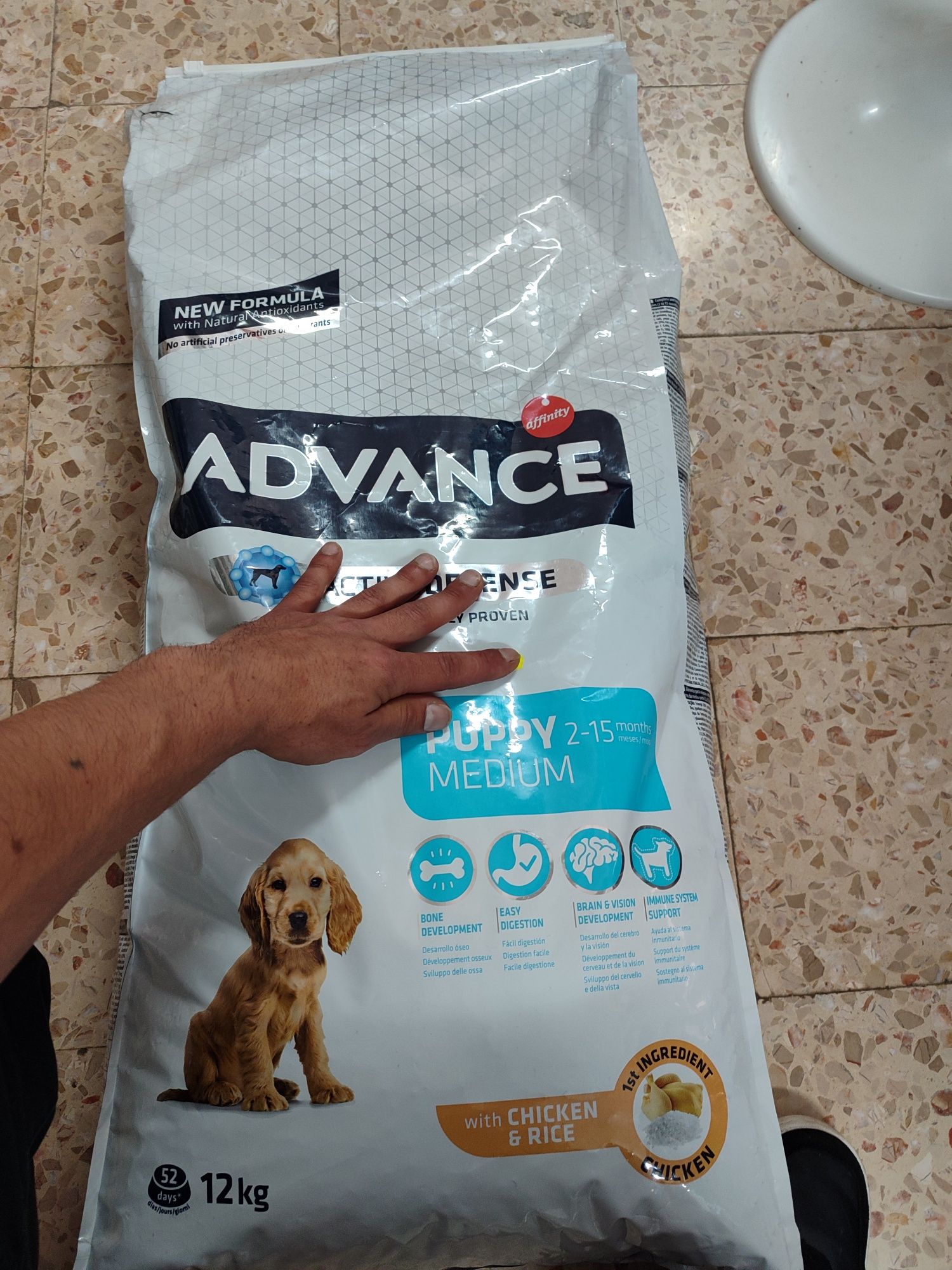 Cão comida advance