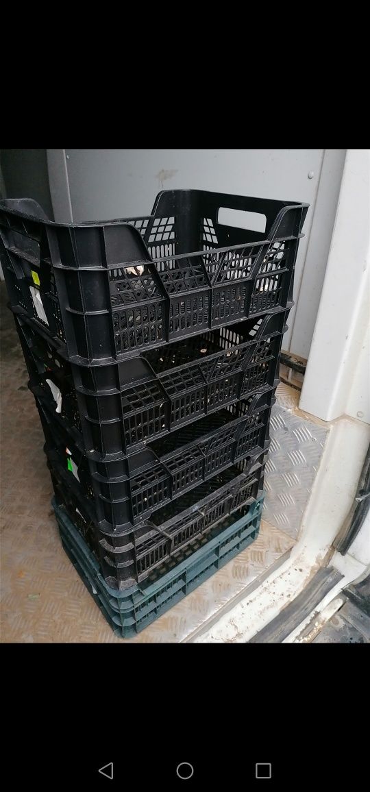 Skrzynki CASI 4KG