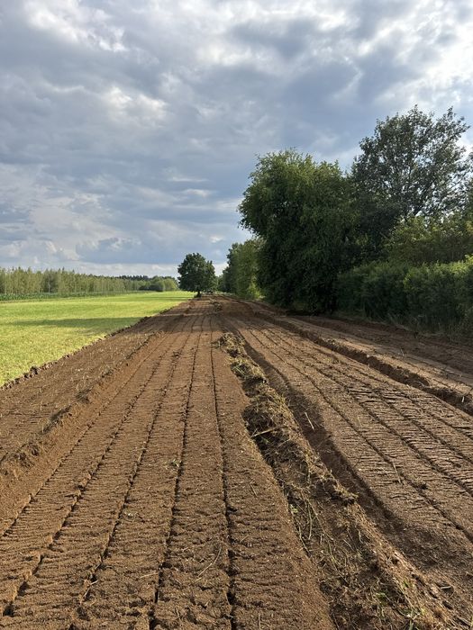 Karczowanie Frezowanie Mulczer Rębak Koparka czyszczenie działek