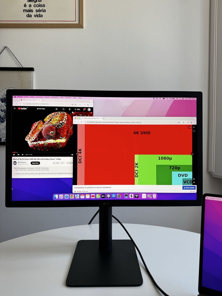 Monitor LG Ultrafine 4K 22MD4KA-B Mac OS