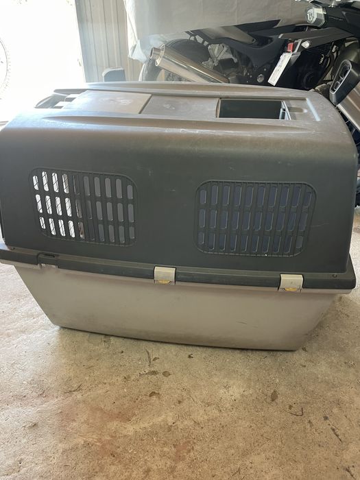 Casota trabsporte animais, Gulliver 7