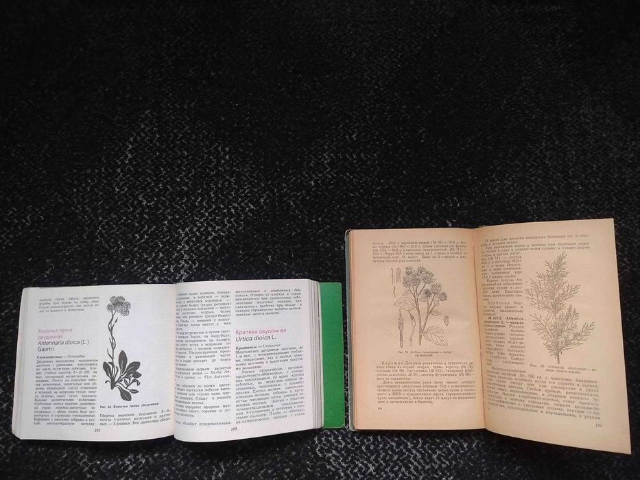 Носаль Лек растения Поляковска Лесные лекарственные растения Одним лот