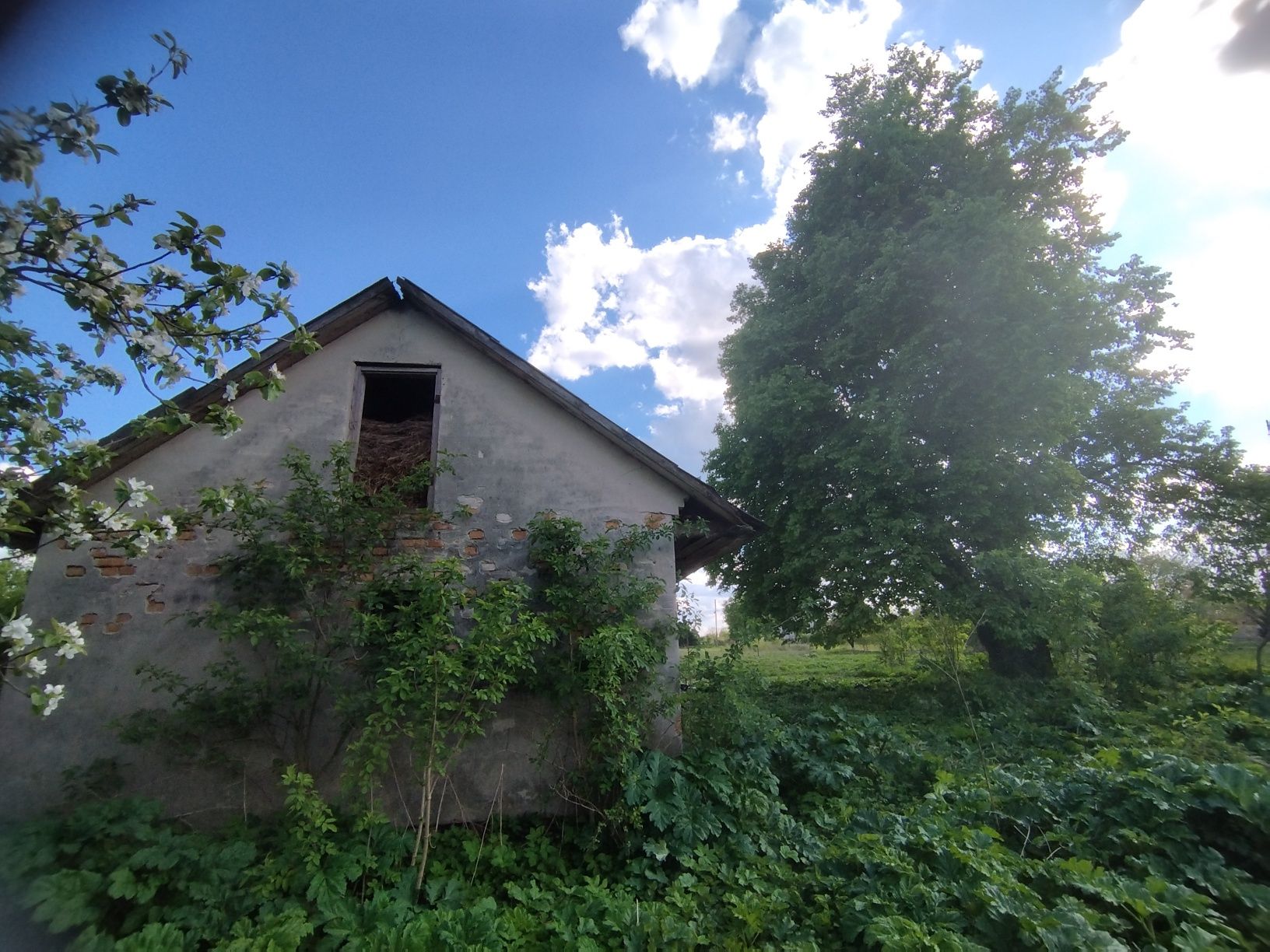 Нежитлове приміщення 65 кв.м