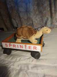 Sprzedam żółwia Sprintera