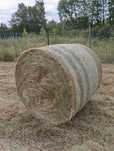 Sprzedam baloty siana 120  / 130