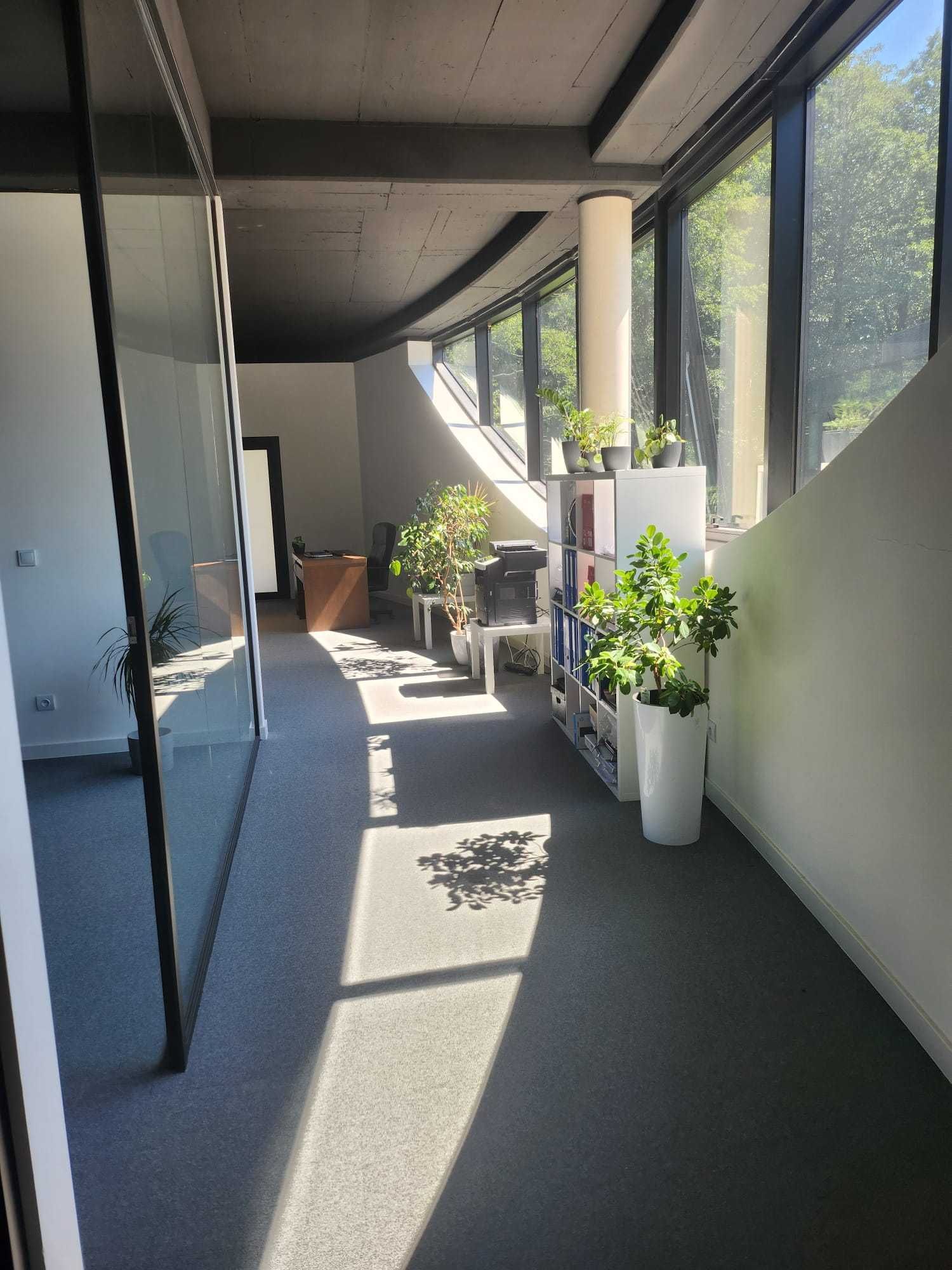 Wynajmę lokal w centrum Katowic – ul. Francuska