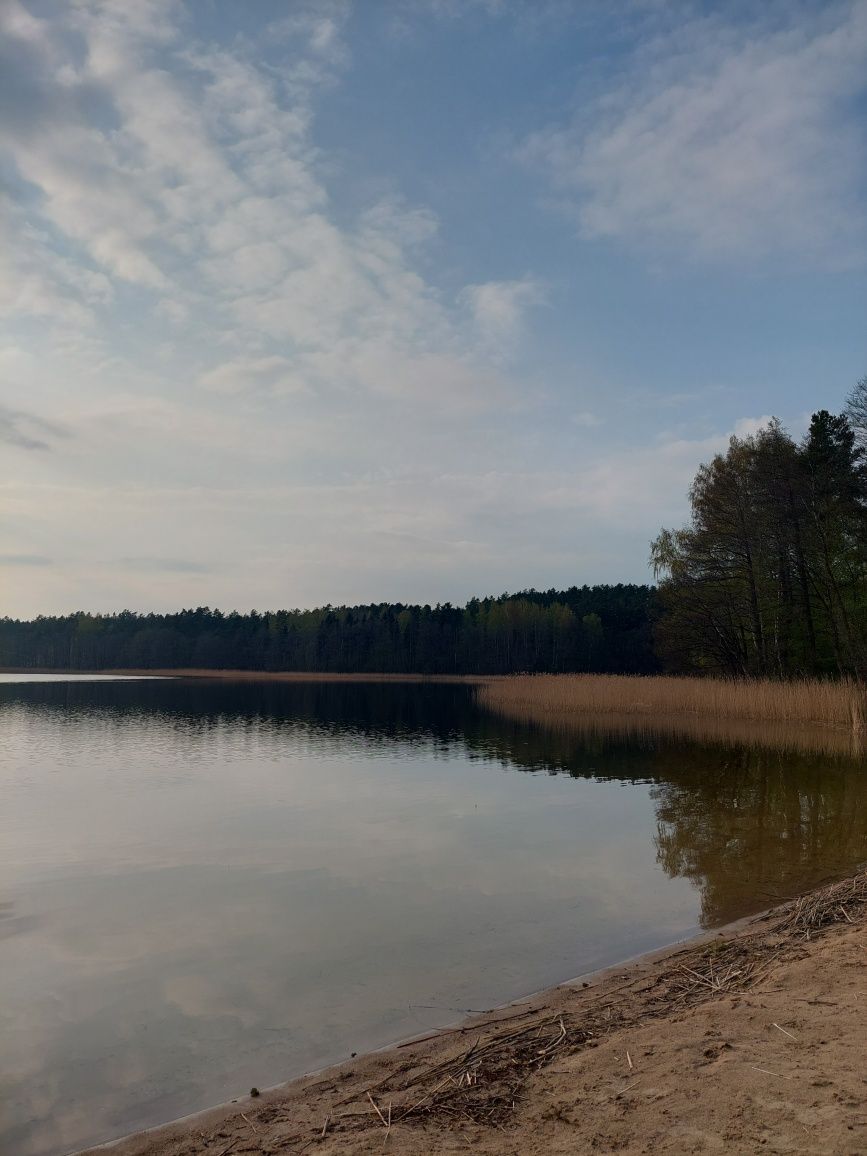 Dom letniskowy Wilkasy Zalesie nad jeziorem Tajty / Mazury