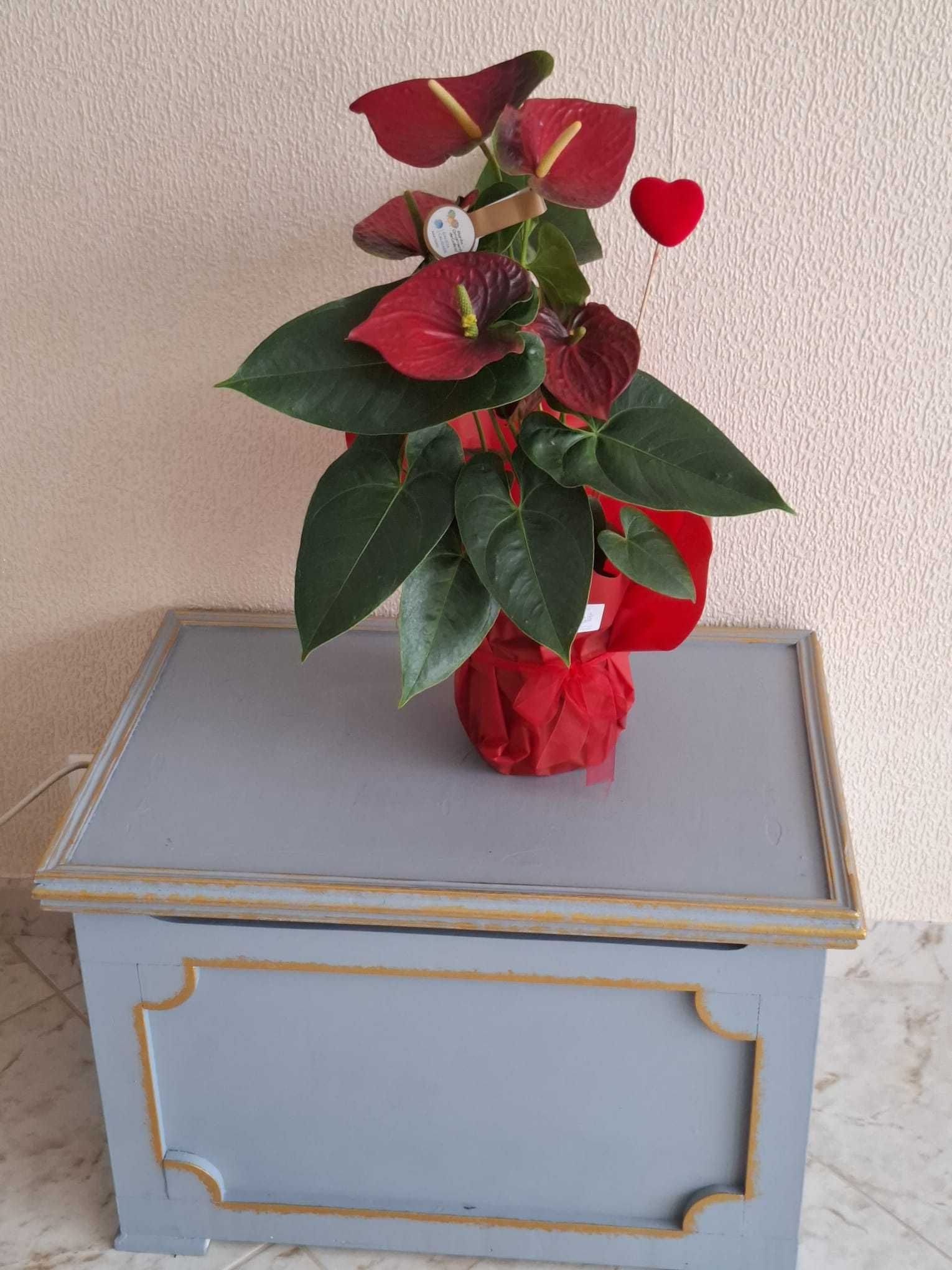 Mesa de cabeceira estilo mala espesos mesas