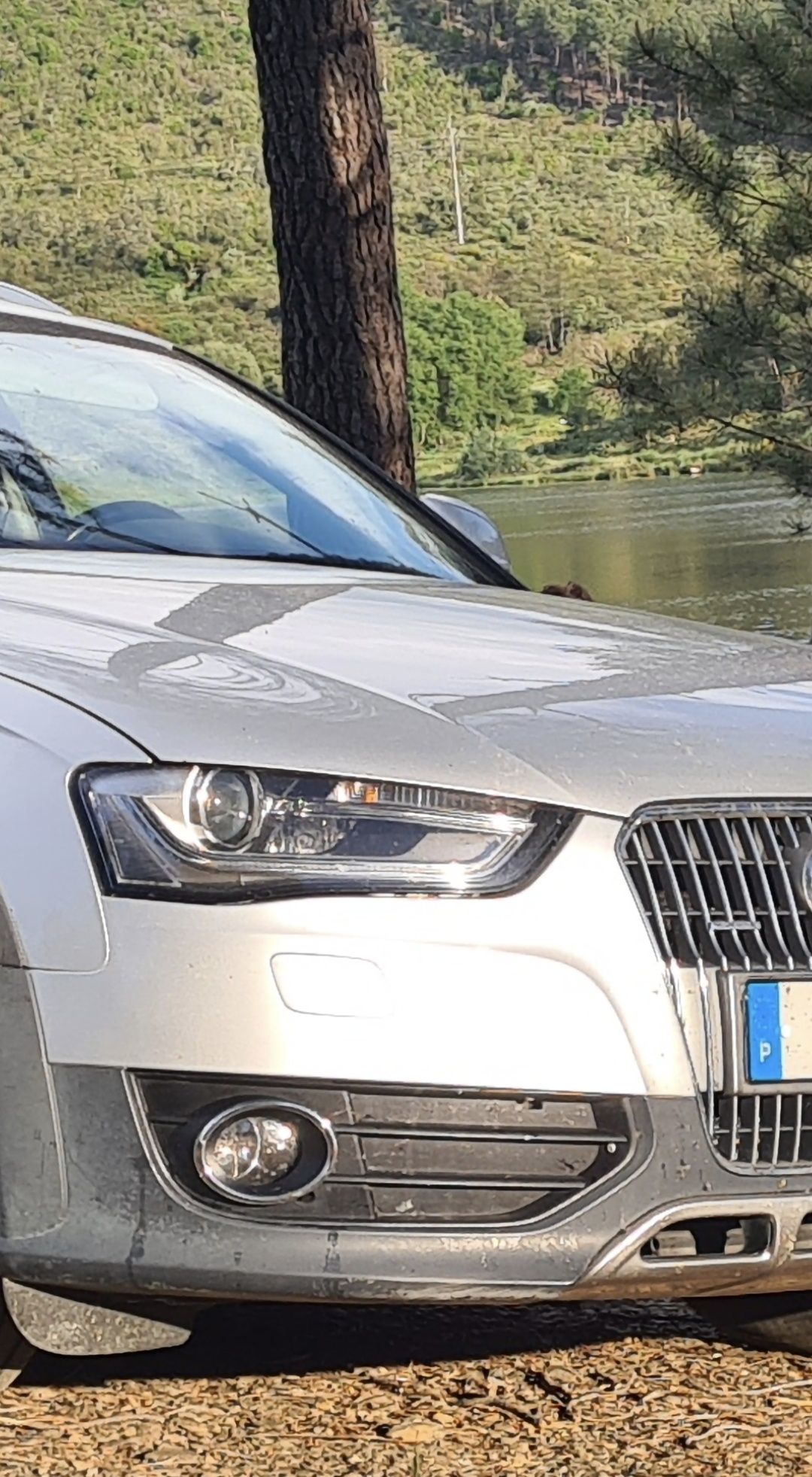 Audi A4 allroad 2.0 tdi (troco)