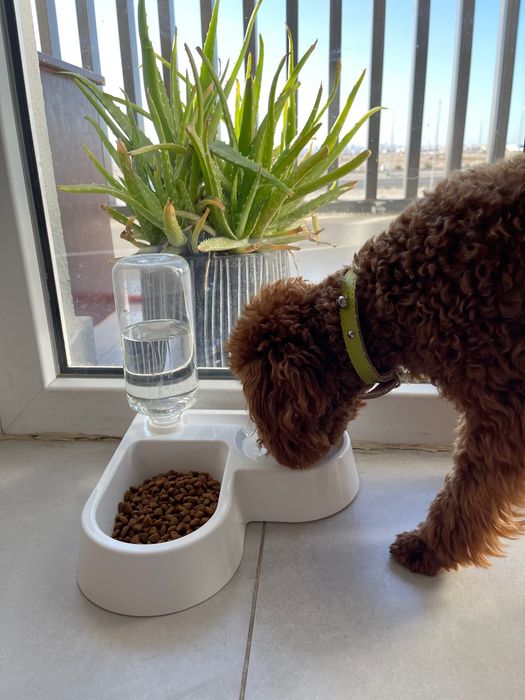 Миска+поїлка для тварин